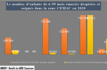 Nutrition : Près de 339 200 enfants de 6-59 mois  émaciés dépistés  au Cameroun en 2020