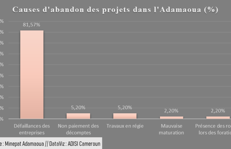 Adamaoua : 38 projets socioéconomiques abandonnés entre 2018 et 2020