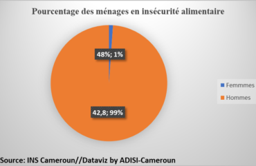 Covid-19 : 3/10 de ménages passent une journée sans manger au Cameroun