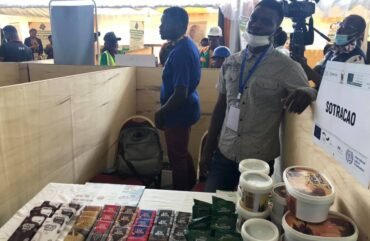 Emploi jeune : Plus de 300 000 jeunes diplômés sans qualification professionnelle