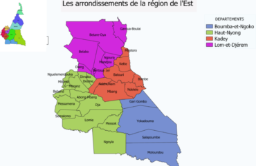 Entrepreneuriat : Un jeune sur 2 pense investir dans l’agropastoral à l’Est
