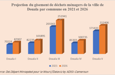 Ordures : Près de 3 000 tonnes de déchets produits par jour à Douala