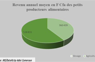 Sécurité alimentaire : Près de 16% des activités de ménages agricoles perturbées en 2021