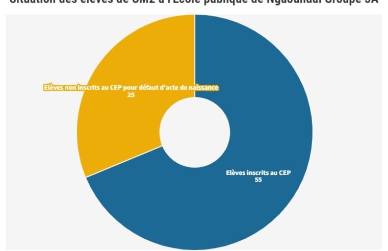 Adamaoua : Près de 8000 élèves sans acte de naissance à Ngaoundal