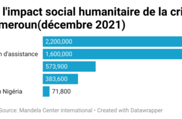 Crise anglophone : l’Ong Mandela Center International accuse l’Etat de violation des droits à la sûreté
