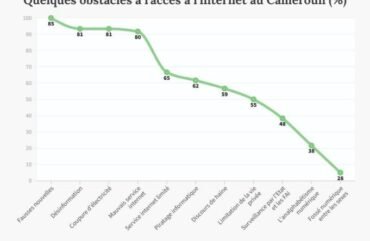 Accès à internet : Au Cameroun, 60 % des utilisateurs n’ont aucune culture numérique