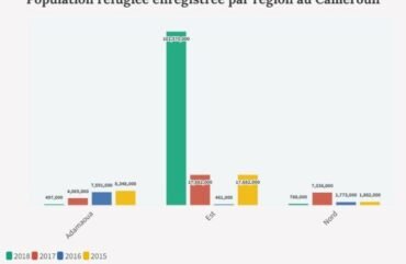 Crise humanitaire : environ 400 000 réfugiés et personnes affectées par la violence en détresse