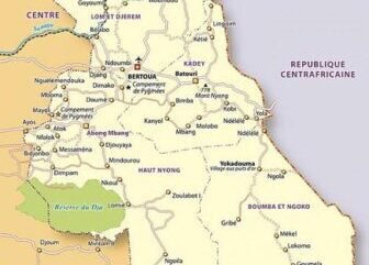Est : 60% des terres bradées au village Ndoumbi