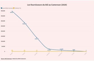 Conflit Russie-Ukraine : Un choc pour l’import-export au Cameroun