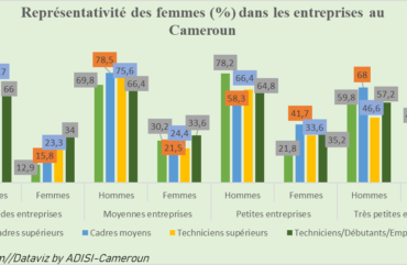 Entrepreneuriat féminin : Au Cameroun, seulement 21% de femmes sont des cadres supérieurs