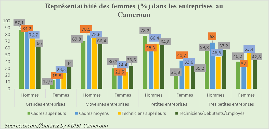 Entrepreneuriat féminin : Au Cameroun, seulement 21% de femmes sont des cadres supérieurs