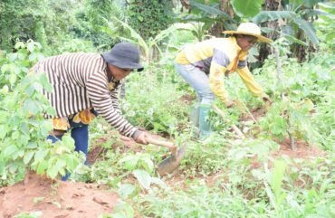 Droits des femmes : En Afrique, les dettes publiques impactent négativement les femmes