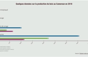 Cemac : Le Cameroun a produit 2,4 millions de m3 de bois en 2021
