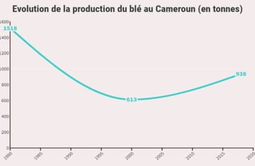 Made in Cameroun : La production des farines locales en projet