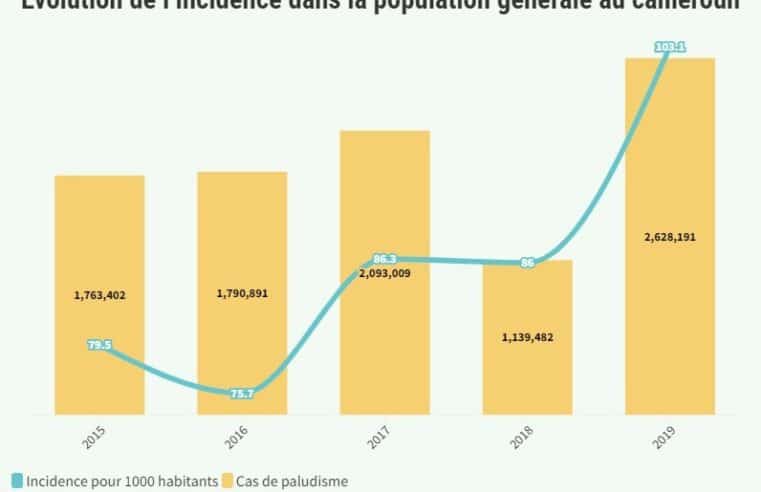 Paludisme : Plus de 11 000 morts enregistrés par an au Cameroun