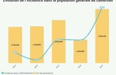 Paludisme : Plus de 11 000 morts enregistrés par an au Cameroun