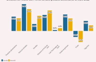 Consommation : Les produits alimentaires locaux plus chers à Douala qu’à Yaoundé