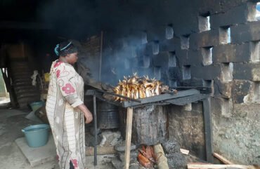Pêche : Au Cameroun, plus de 40% des captures rejetées en mer