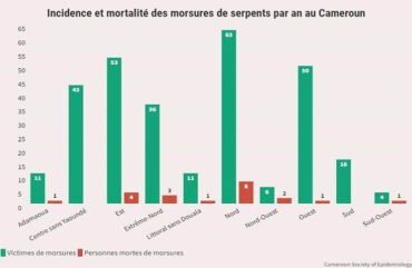 Envenimation: 293 camerounais victimes de morsures de serpents en 2021