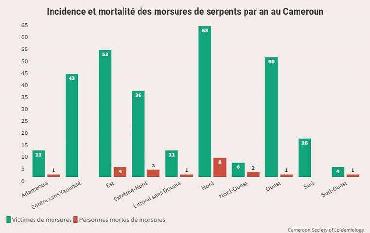 Envenimation: 293 camerounais victimes de morsures de serpents en 2021