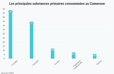 Stupéfiants : Au Cameroun, 21% des jeunes en âge scolaire sont accros