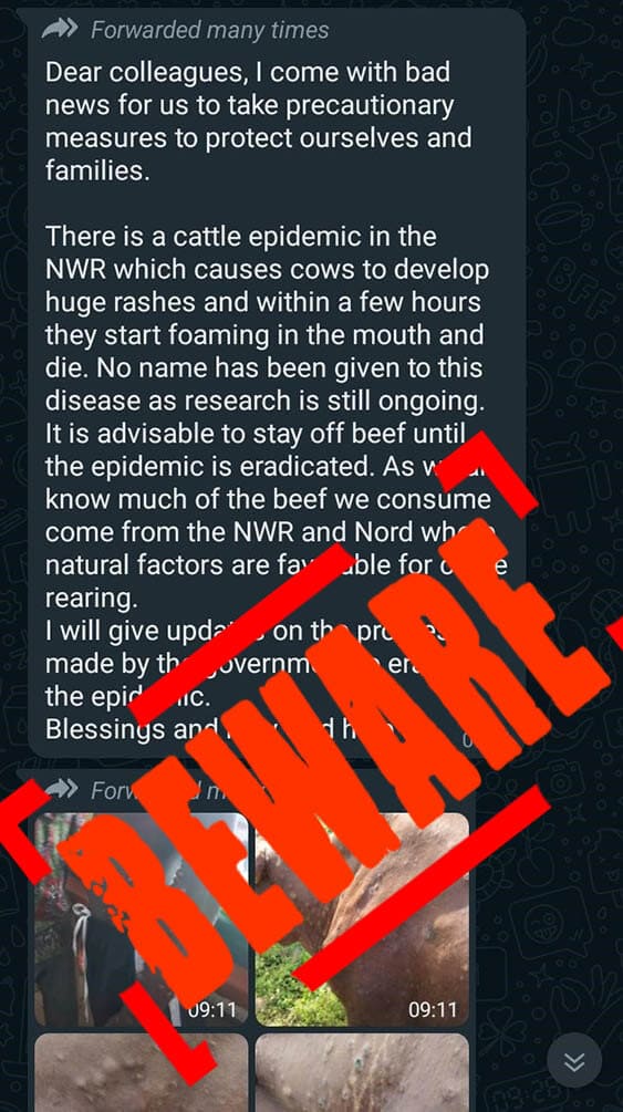 Beware: The North West region has not been hit by a cattle epidemic
