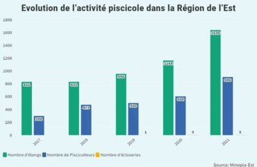 Pisciculture : En 5 ans, l’Est a produit 61,62 tonnes de poissons