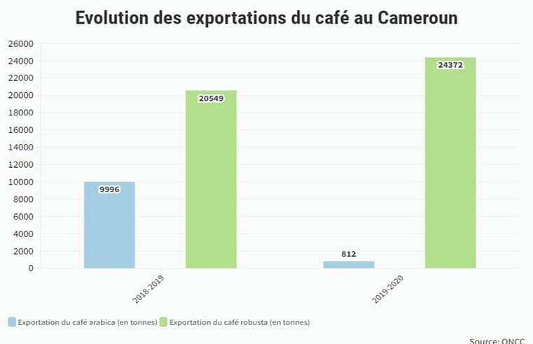 Nord : Le café made in Cameroon à la conquête d’un nouveau marché