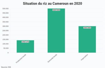 Ouest : Une douzaine de tracteurs pour booster la production du riz