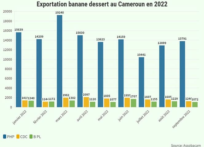 banane dessert : L’exportation chute de 21,3% en septembre 2022