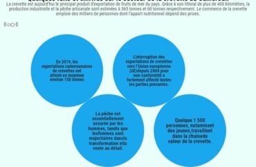 Exportations des crevettes : Le Cameroun à l’école des pays de l’Acp