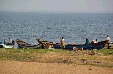 Nord : Plus de 78 000 tonnes de poissons produit entre 2012 et 2022