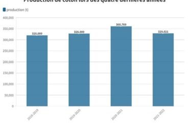 Sodecoton : Plus de 1 300 000 tonnes de coton produits entre 2018 et 2022
