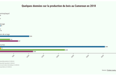 Bois en grumes : Le droit d&rsquo;exportation fixé à 60% de la valeur FOB 