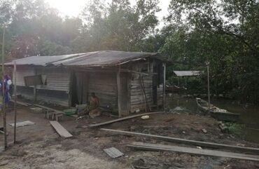 Environnement : environ 31% de mangrove perdue en 5 ans à Bonabéri