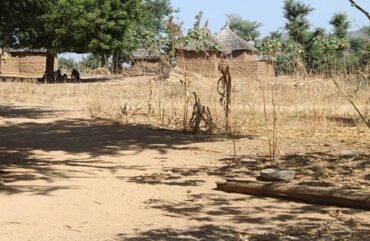 Développement local : L’Extrême-Nord peaufine son attractivité