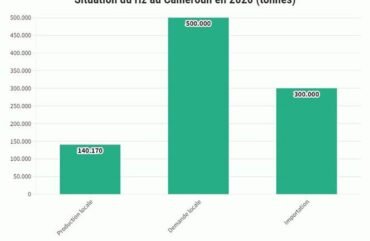 Vie chère : Vers une énième augmentation du prix du riz en 2023