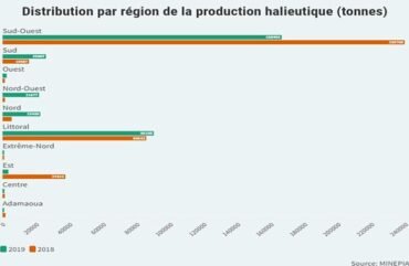 Exportation du poisson : Le Cameroun sanctionné par l’Union européenne