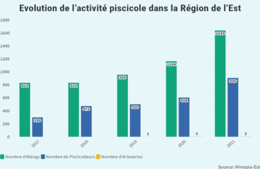 Pisciculture : Près de 100 tonnes de poissons produits par an à l’Est