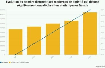 Entrepreneuriat : plus de 47 000 entreprises modernes en activité en 2020