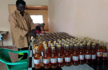 Nord : Gérard Ngoko Tchihebo, transformateur des anacardes à Garoua