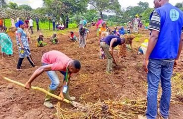 Est : Plus de 1 000 réfugiés centrafricains préfèrent l’exil