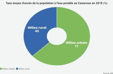 Eau potable : Le Cameroun perd 37 milliards F Cfa par an