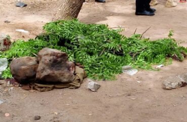 Nord : Plus de 30 personnes tuées par la vindicte populaire entre 2018-2022