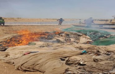 Nord : Près de 27 tonnes de poissons capturés en une journée à Saboré