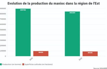 Agropastoral : Moins de 1 000 producteurs ont accès aux crédits à l’Est