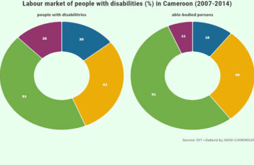 Employment: About 80% of disabled people are unemployed in Cameroon