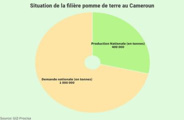 Pomme de terre : 40,12 milliards F Cfa pour booster la filière