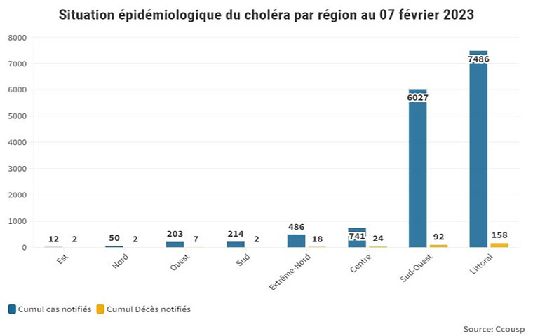 Choléra : 311 morts en 2 ans au Cameroun