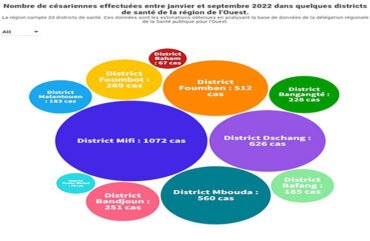 Ouest-Cameroun : Plus de 4 000 césariennes pratiquées en 2022